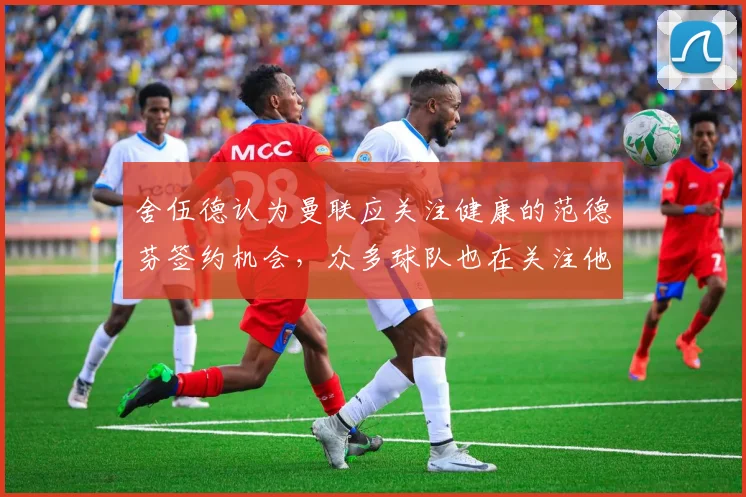 舍伍德认为曼联应关注健康的范德芬签约机会，众多球队也在关注他